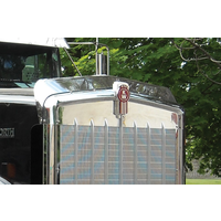 Bug Deflector fits Kenworth W900B, C500 and T800H models S.S.304 thumbnail 2