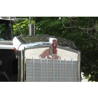Bug Deflector fits Kenworth 900L thumbnail 2