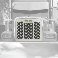 Grille Fits Freightliner Classic & FLD Diamond & Mesh W/ Logo S.Steel  thumbnail 5